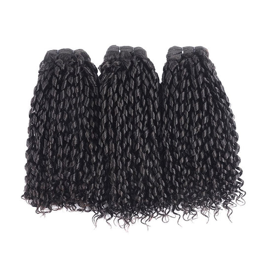 Lemoda Pixie Curly Human Hair 3 Bundles Brazilian Virgin Hair Extensation
