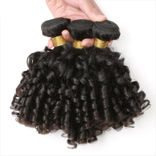 Lemoda Indian Bouncy Curly 3 Bundles Human Hair Extensation
