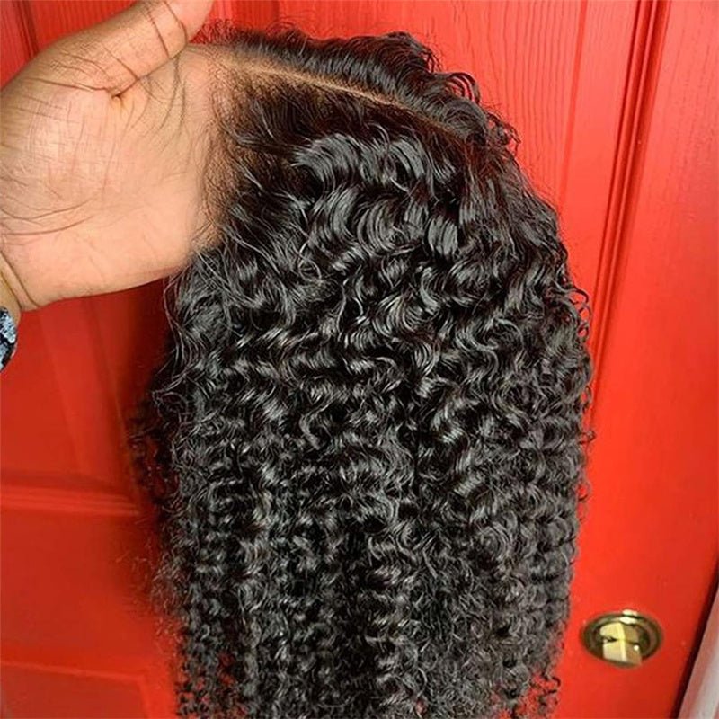 Kinky Curly 13x6 HD Lace lace Wig with Natural Hairline Beginner Friendly - Lemoda Hair