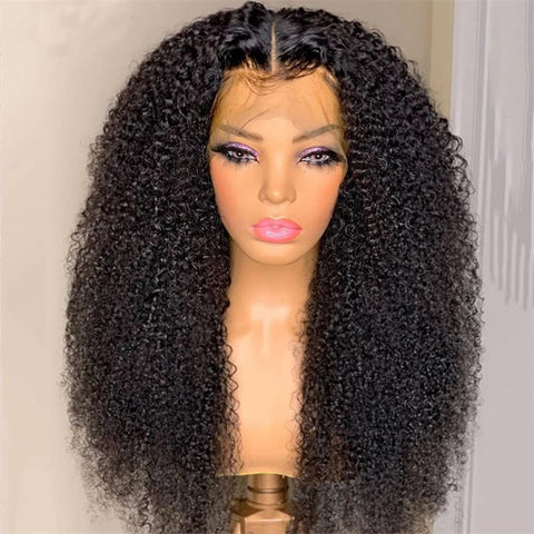 Kinky Curly 13x6 HD Lace lace Wig with Natural Hairline Beginner Friendly - Lemoda Hair