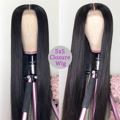 Lemoda 5X5 Lace Closure Wig Brazilian Straight Lace Closure Human Hair Wigs For Black Women - Lemoda Hair