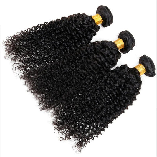 Malaysian Curly Wave Hair 3 Bundles With 4x4 Closure - Lemoda Hair