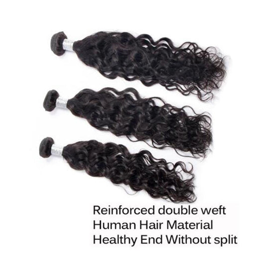 Malaysian Water Wave Product Human Hair 1 bundle - Lemoda Hair